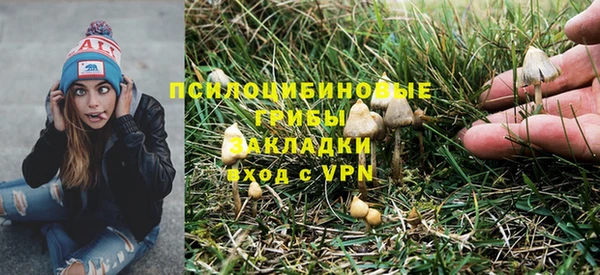 мяу мяу мука Краснотурьинск