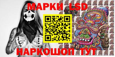 крисы Кингисепп
