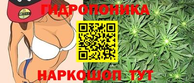 молекула духа Апрелевка