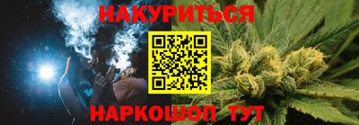 крисы Кингисепп