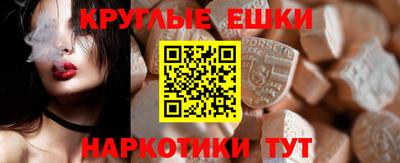 крисы Кингисепп