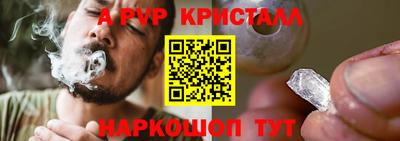 крисы Кингисепп