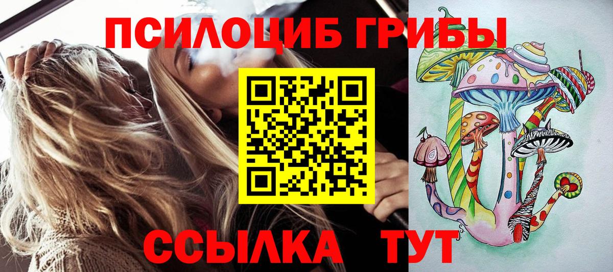 Галлюциногенные грибы мицелий  Вход с VPN  Галлюциногенные грибы Psilocybe  Коряжма 