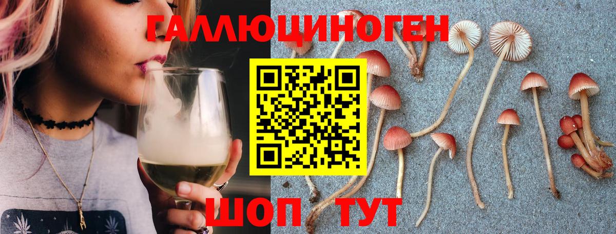 Псилоцибиновые грибы мухоморы  Коряжма  Псилоцибиновые грибы Cubensis 